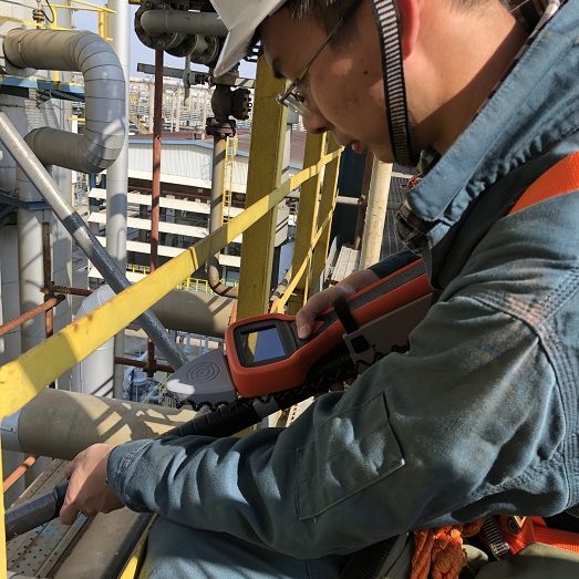 Bamboo-Reach-Sized Bamboo-Reach-Sized