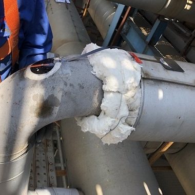 ECHO-Field-Exposed-small ECHO-Field-Exposed-small